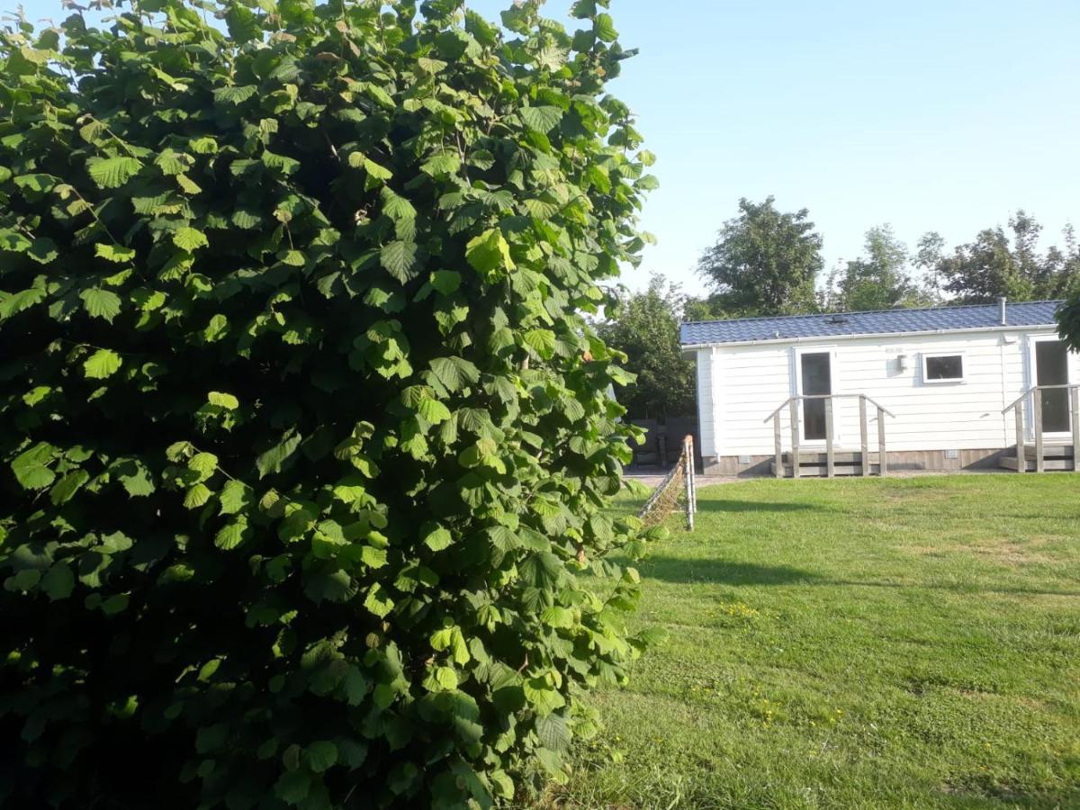 Chalet Van Minicamping De Braamhof Koudekerke Dış mekan fotoğraf